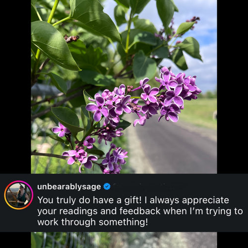 Deep Gratitude Offering ($22)