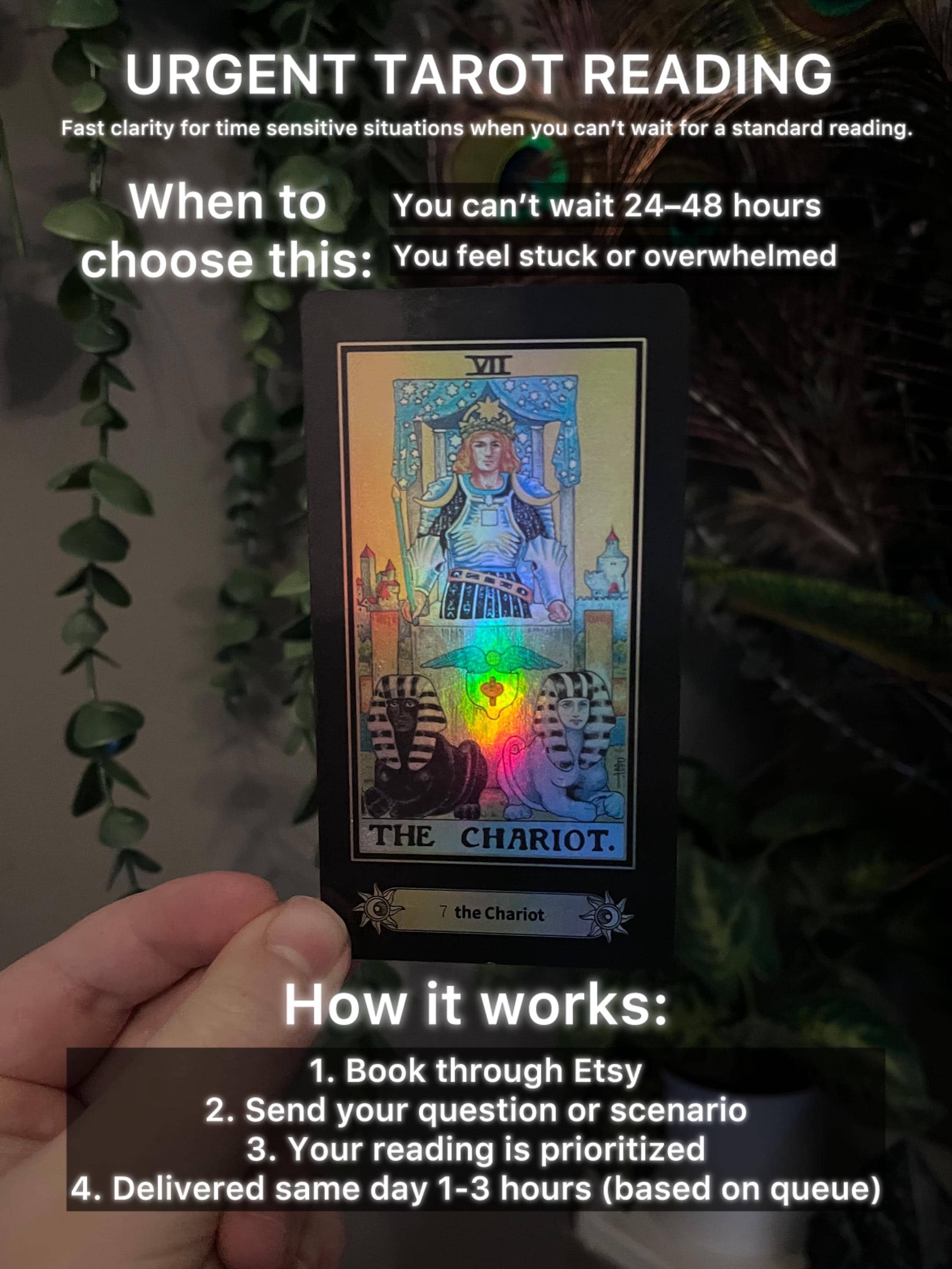 Urgent Clarity Tarot Reading